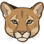 cougar